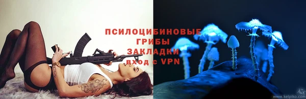 мдпв Нягань