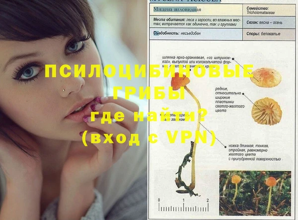 мдпв Нягань