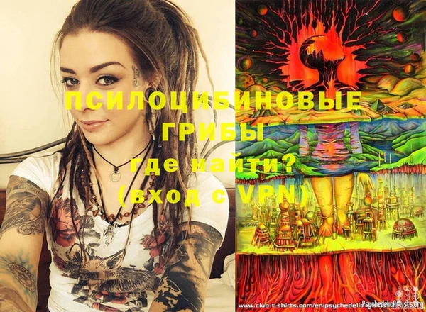 соль ск Новодвинск